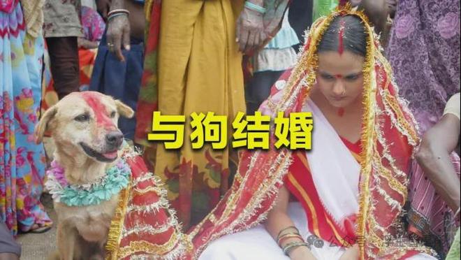 法活人嫁狗…该国每天都在挑战人类底线pg电子模拟器印度有多魔幻：童婚合(图5)